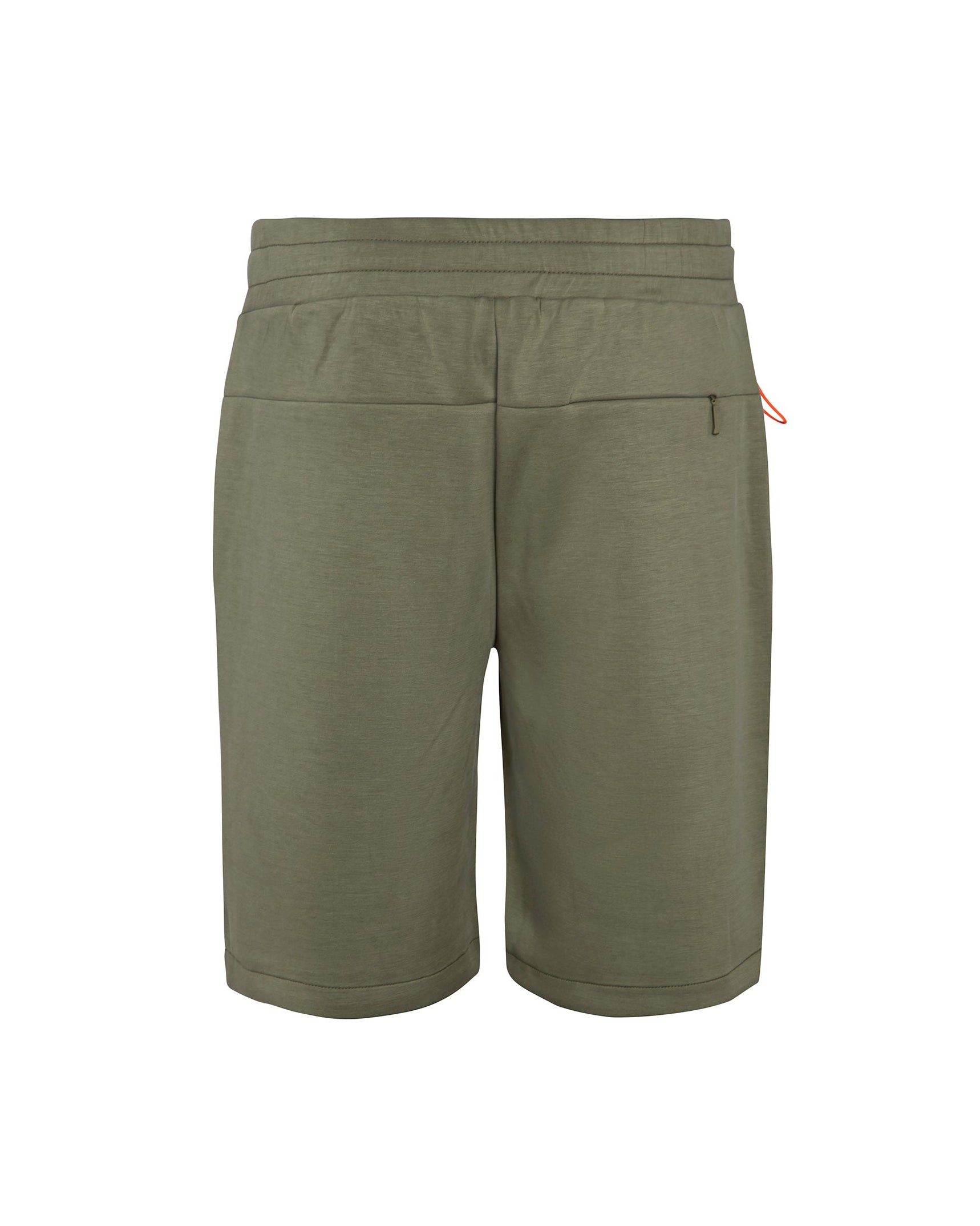 color: olive