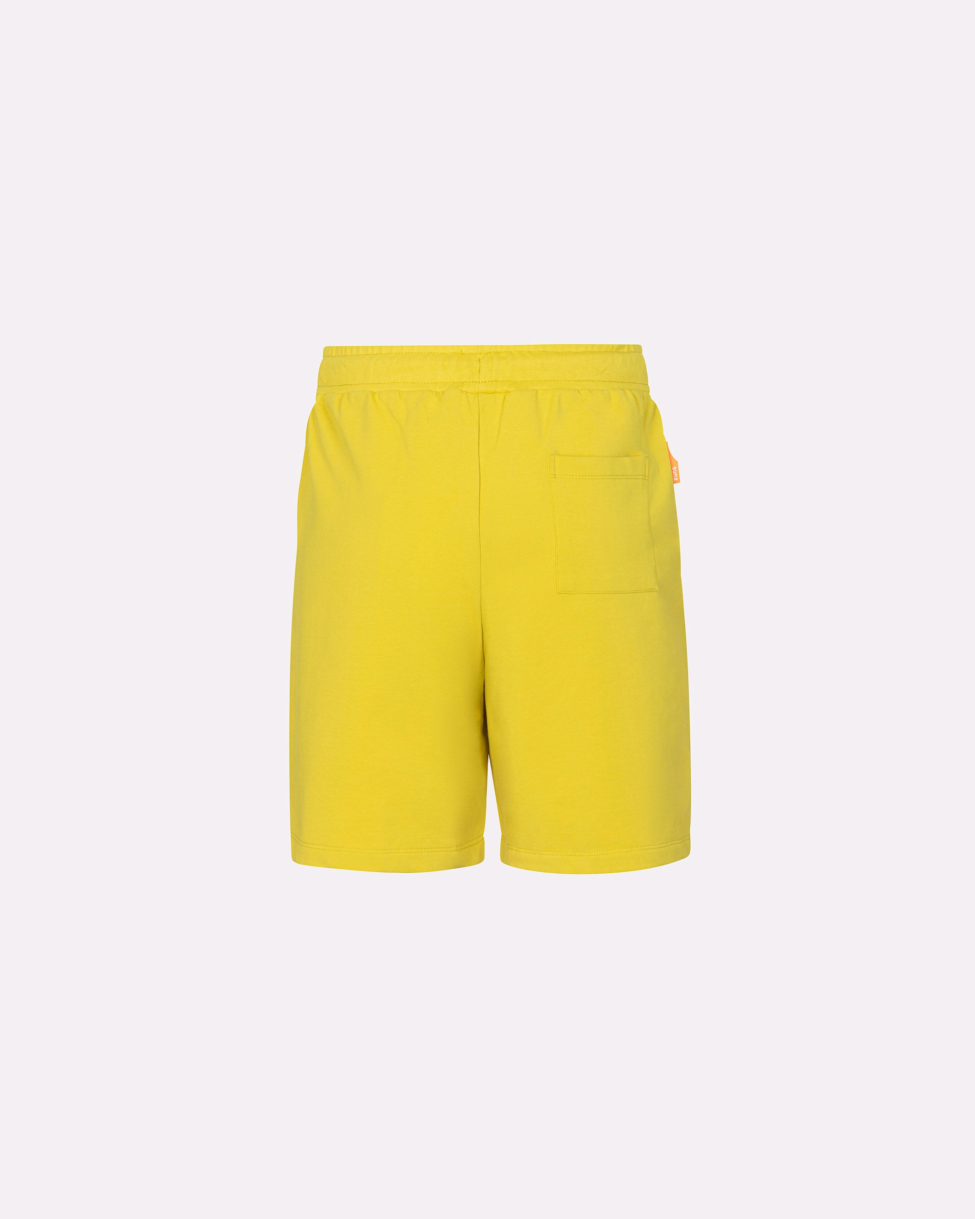 color: ocra