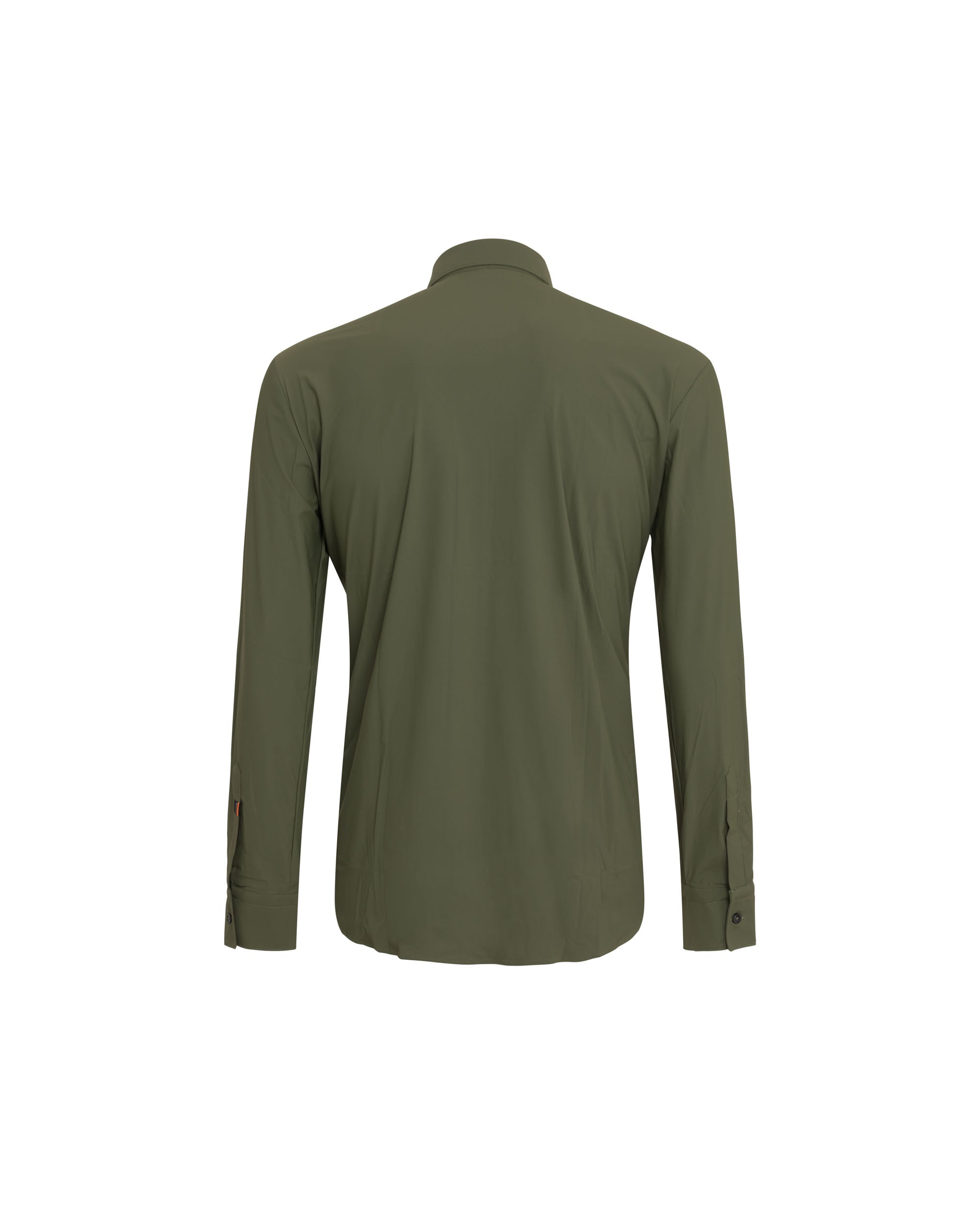 color: olive