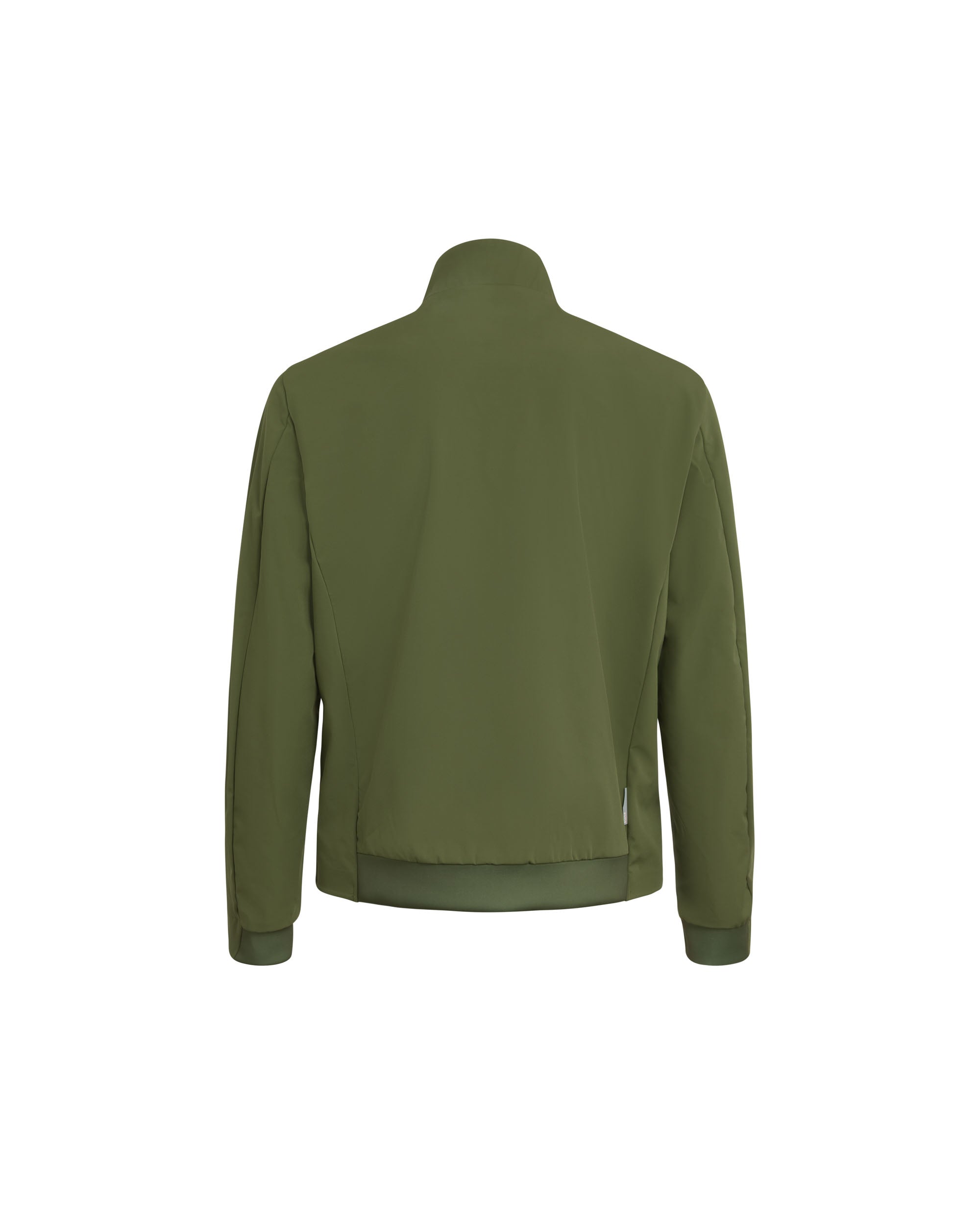 color: olive