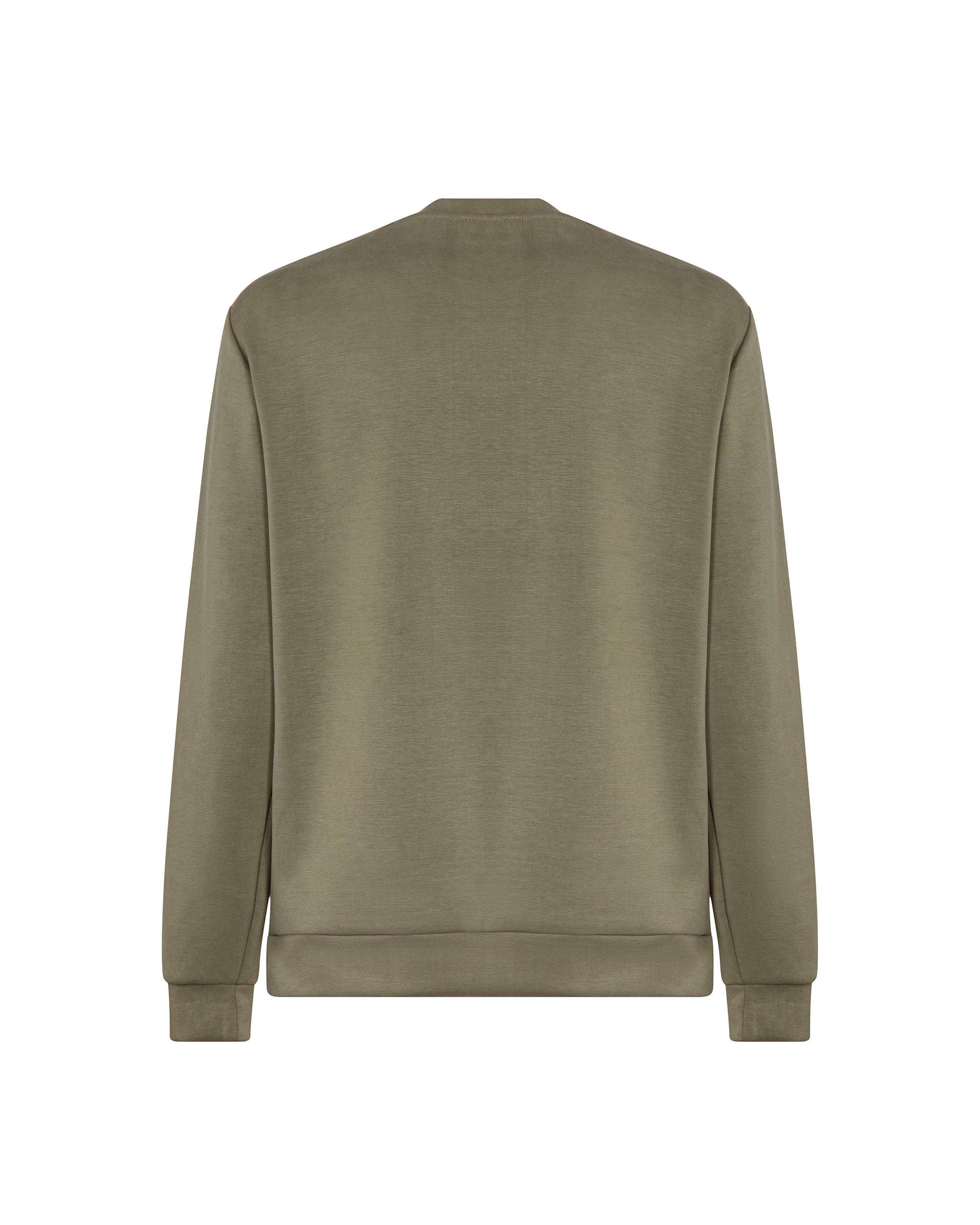 color: olive