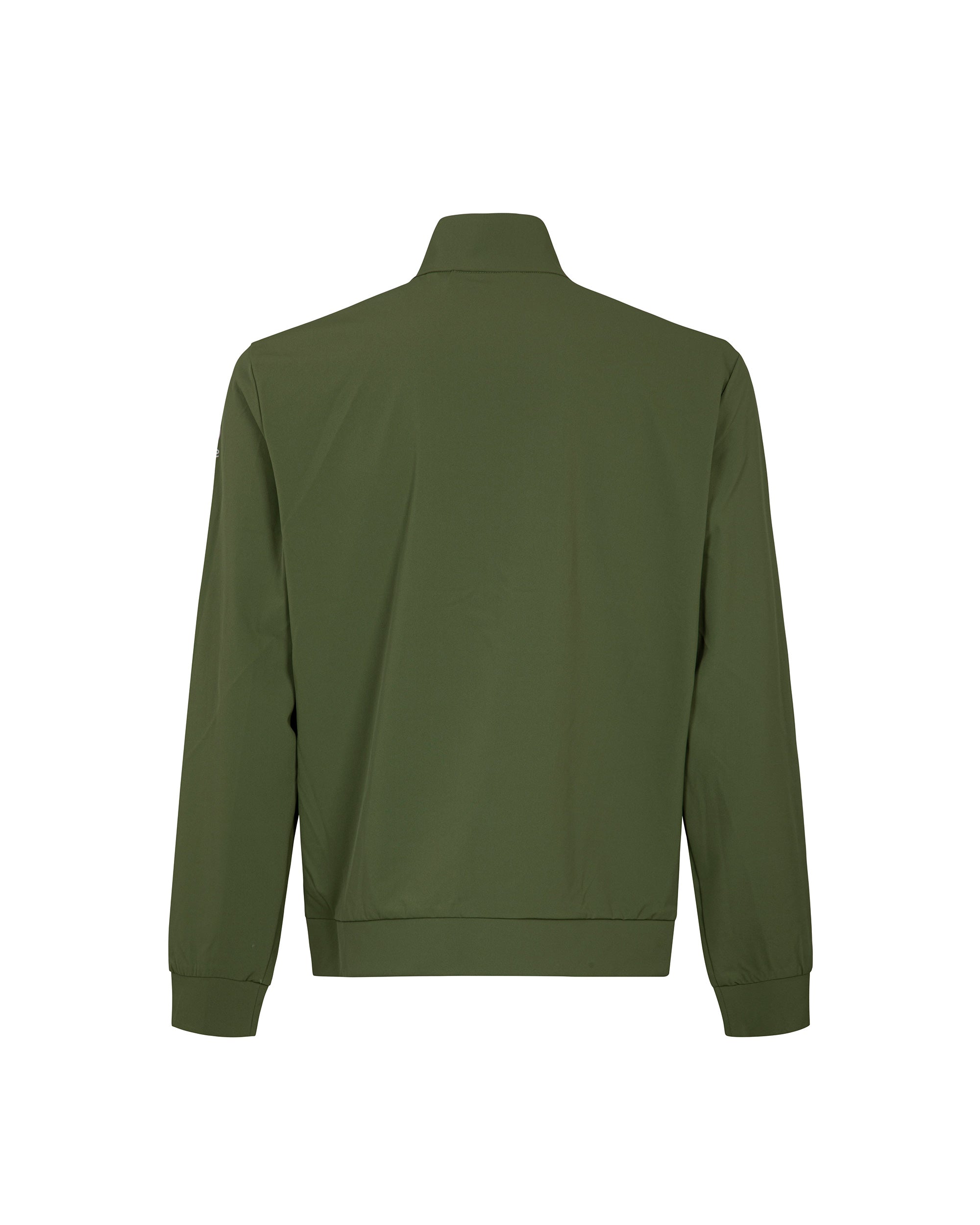 color: olive