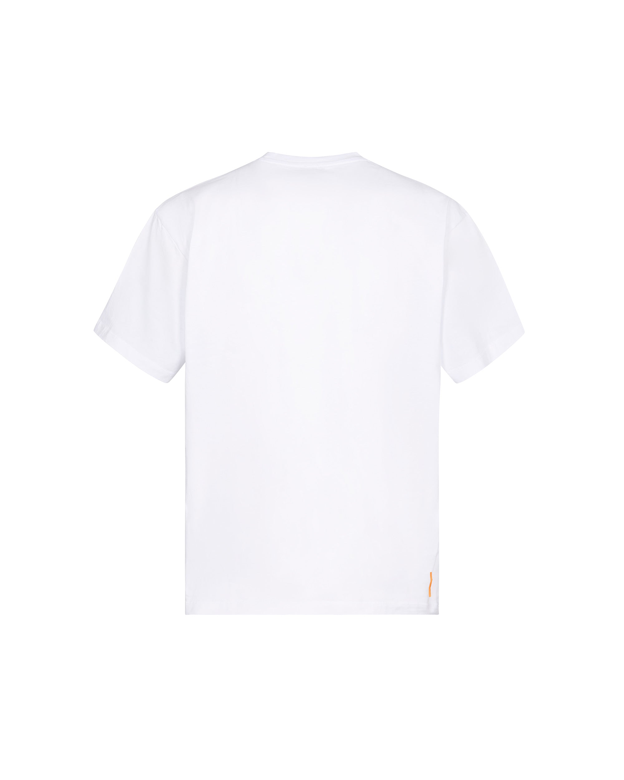 #colore_white